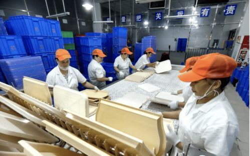 深圳餐具消毒服務機構引領技術革新，助力循環經濟推廣