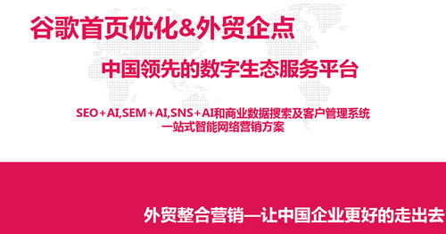 淄博外貿推廣領先選擇 淄博網泰科技助力企業全球市場拓展